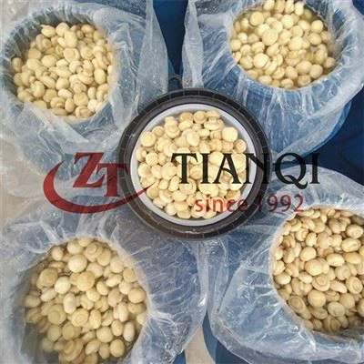 Seta blanca en tambores