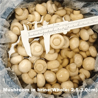 Champiñones enteros en salmuera en tambor