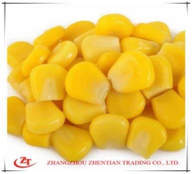 Conservas de maíz con verduras